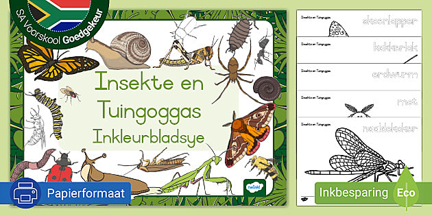 Insekte en Tuingoggas: Inkleurbladsye (teacher made)