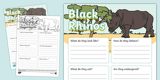 Black Rhino Fact File Template (teacher made) - Twinkl