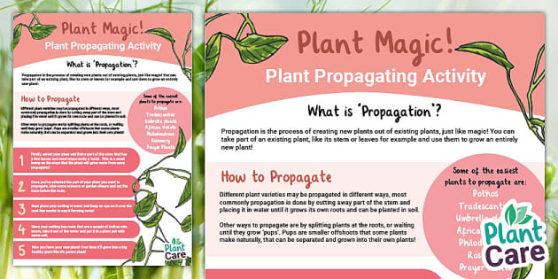 Plant Magic! Plant Propagation Activity