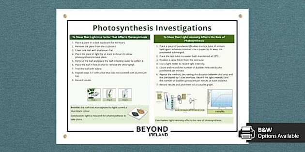 Photosynthesis Lab Rposter Photosynthesis Investigations Poster