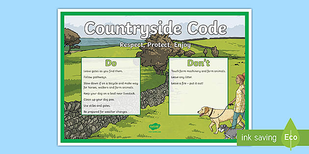 KS2 Countryside Code Poster teacher Made 