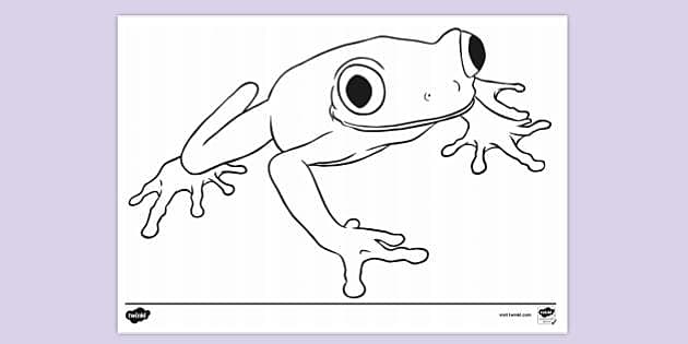 tree frog line drawing
