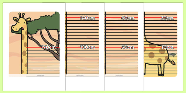 Height Measurement Chart