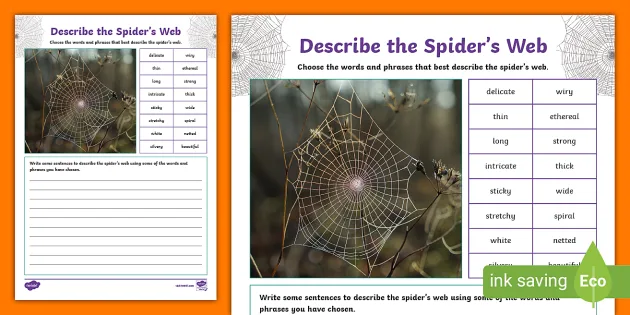 Describe the Spider's Web Worksheet (Teacher-Made) - Twinkl