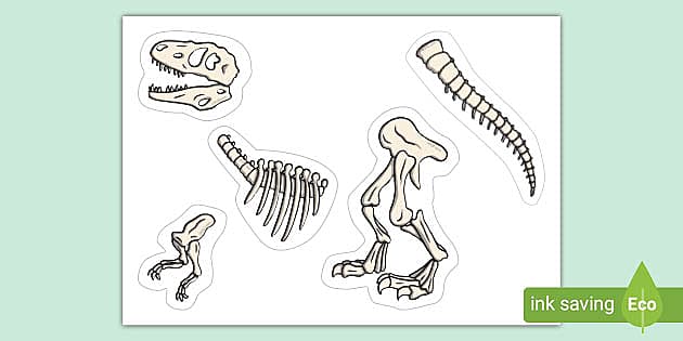 Dinosaur Skeleton Activity (teacher made) Twinkl