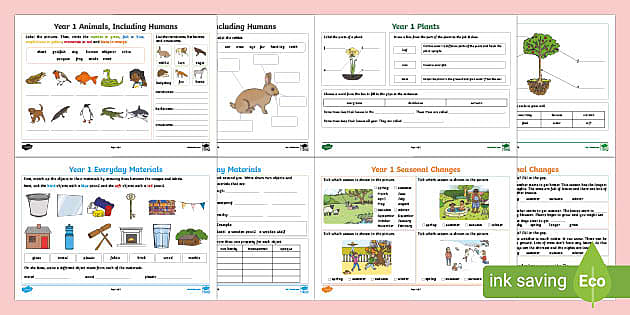 Year 1 Science Revision Activity Mat Pack (teacher made)