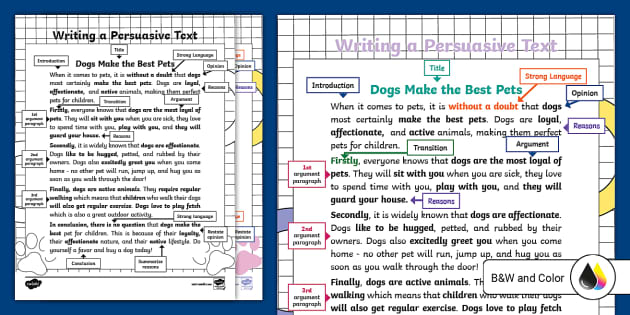 persuasive essay 6th grade example