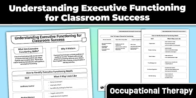 Executive Functioning in the Classroom | Identification and Support ...