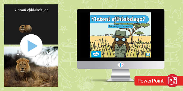 Yintoni efihlakeleyo? Izilwanyana zasendle - What is hiding? WIld Animals