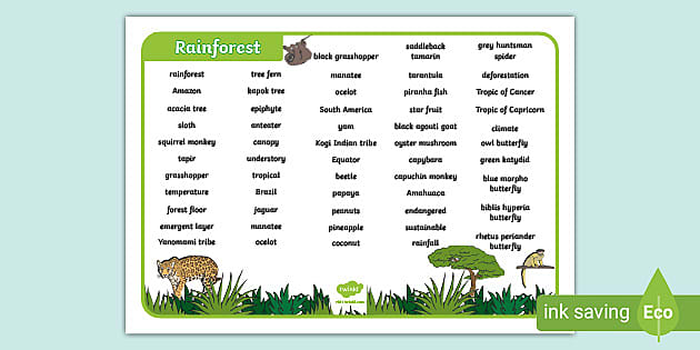 Rainforest Terminology – Helpful Word Mat for Children