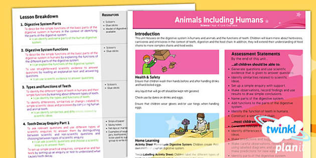 FREE! - Science: Animals Including Humans Year 4 Planning Overview