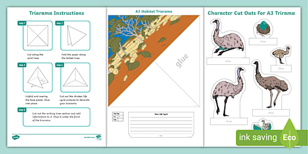 Emu Life Cycle Triarama (teacher made) - Twinkl