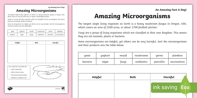 Amazing Microorganisms Worksheet - Science Resource - Twinkl