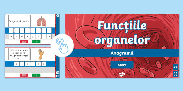 Anagramă cu funcțiile organelor – Joc online
