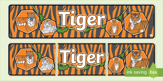 👉 Tiger Display Banner (teacher made) - Twinkl