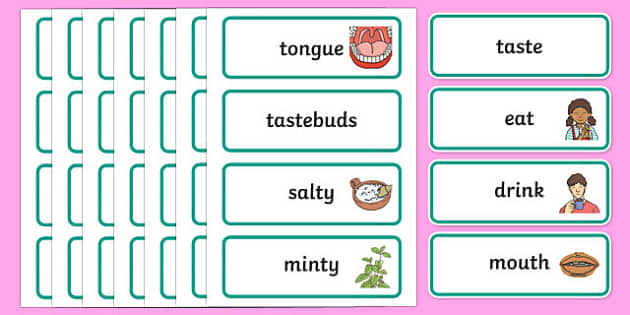 taste-word-cards-teacher-made-twinkl