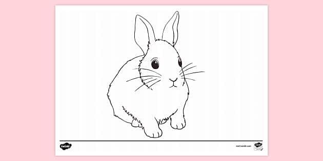 Happy Easter! [Colored Pencil Bunny]