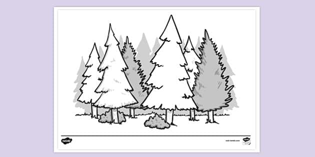 winter forest drawing