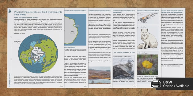 GCSE AQA Cold Environments Fact Sheet (creat De Profesori)