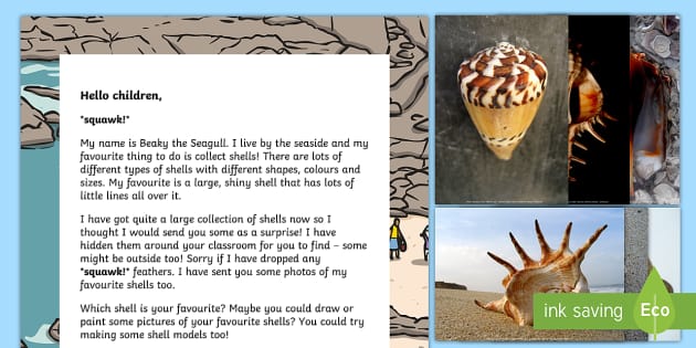 Editable Exploring Shells Letter and Resource Pack