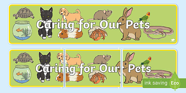 Pet Shop Display Banner (teacher made) - Twinkl