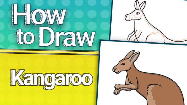 How to Draw a Kangaroo | Twinkl Kid's TV (teacher made)