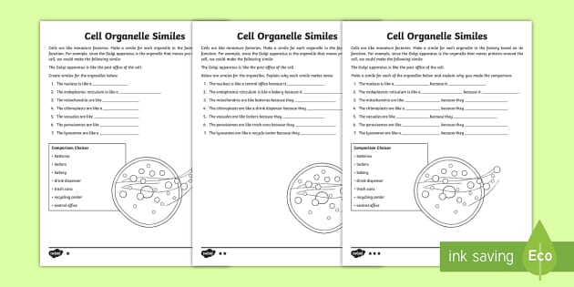 Cells and Organelles Worksheet | Science | Cell Worksheet