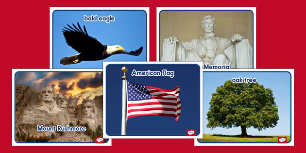 U.S. National Symbol Photos (teacher made) - Twinkl