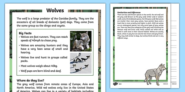 wolves non chronological report and comprehension activity what is the structure of a science