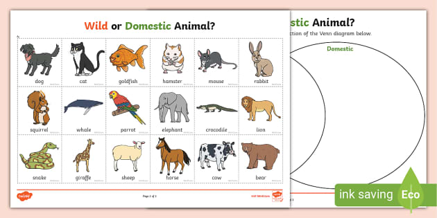 Wild or Domestic Animal? Sorting Activity (Teacher-Made)