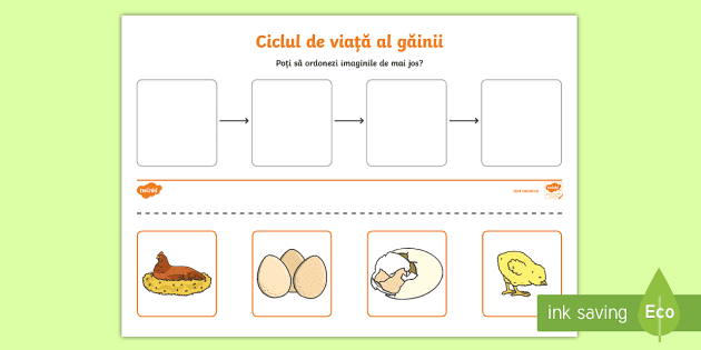 diagrama ciclului de viață pentru tenă