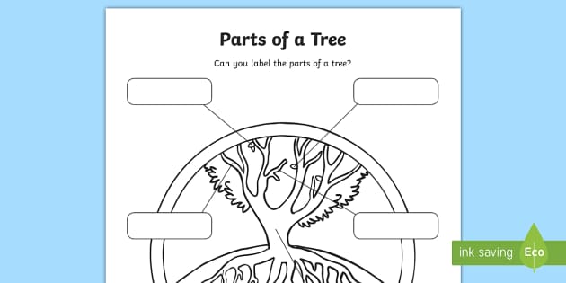 parts of a tree for kids