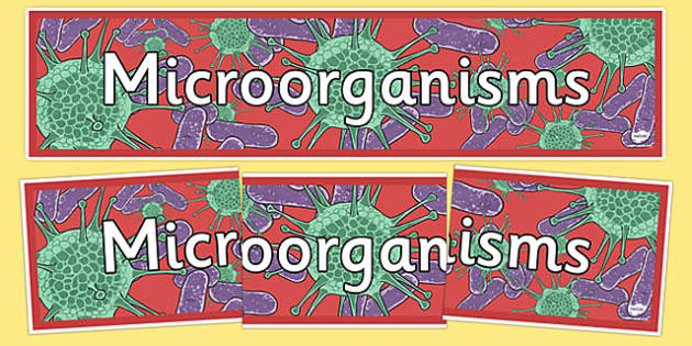 Microorganisms, Free Full-Text