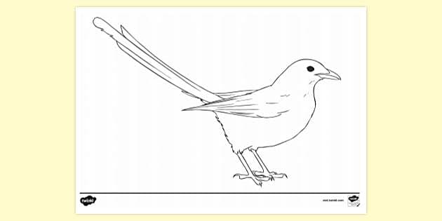 FREE! - Magpie Colouring Sheet | Colouring Sheets | Twinkl