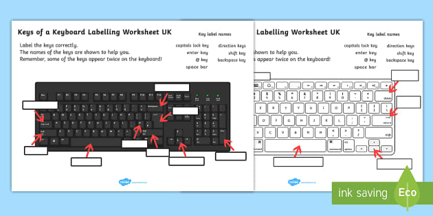 Keys Of A Keyboard Labelling Worksheet Teacher Made