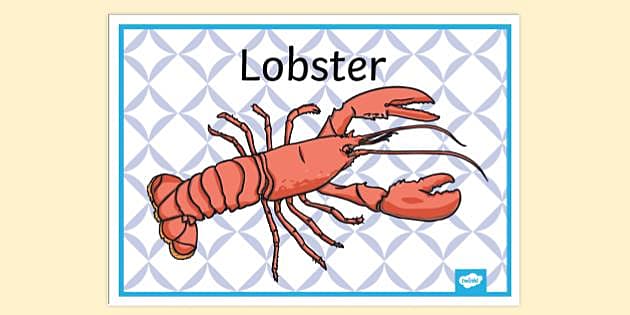 https://images.twinkl.co.uk/tw1n/image/private/t_630_eco/image_repo/d4/01/t-tp-2669231-lobster-poster_ver_1.jpg