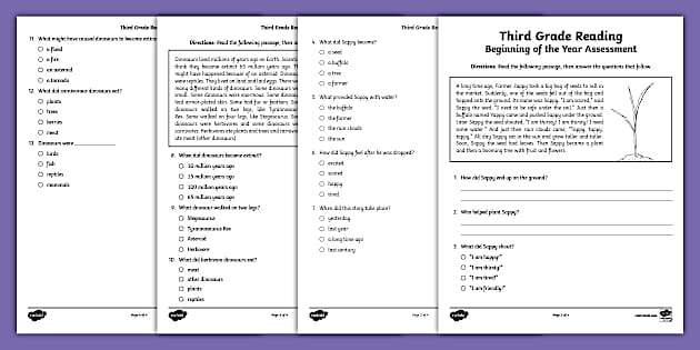 Third Grade Beginning of the Year ELA Reading Assessment