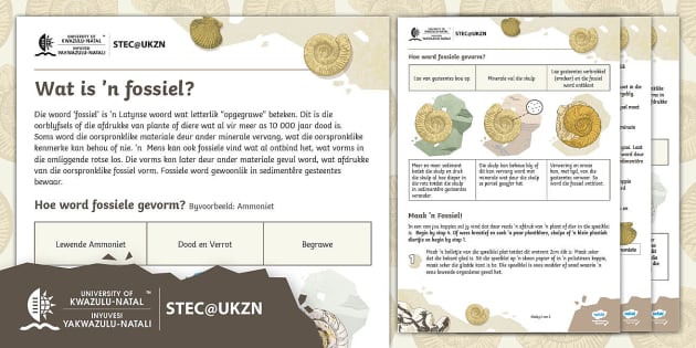 FREE! - Hoe word Fossiele Gevorm? Feiteblad en Aktiwiteit