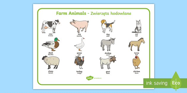 Farm Animals Word Mat English/Polish - Farm Animals Word Mat