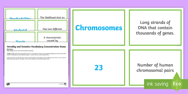 Heredity and Genetics Concentration Matching Game - Twinkl