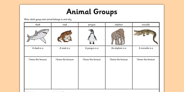 Animal Group Worksheet - grouping animals, classifying animals
