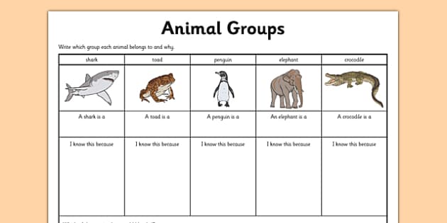 worksheet ks1 animal Animal  Group  Worksheet Science Twinkl Resource