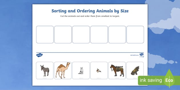 Sorting and Ordering Animals by Size teacher made Twinkl