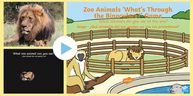 Zoo Animals Bilingual PowerPoint | Twinkl EAL Resource