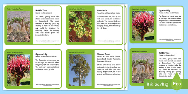 Australian Plants Information Cards — Ages 7–11