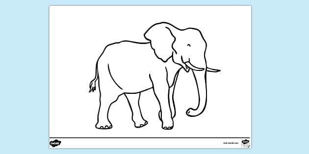 Simple Elephant Outline Draw Coloring Book Stock Illustration 2345475007 |  Shutterstock