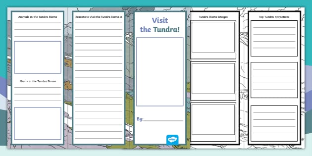 Tundra Biome Brochure Project &amp; Rubric | Printable