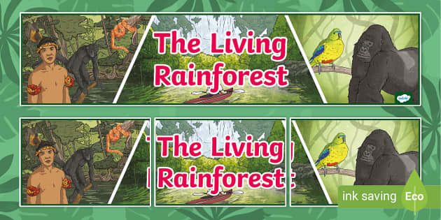 The Living Rainforest Display Banner (teacher made) - Twinkl