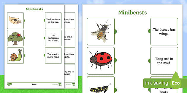 Minibeasts Matching Worksheet Teacher Made Twinkl
