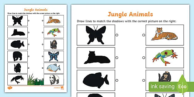 Summer Shadow Match Activity Worksheet | Printable Resource